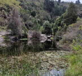 Quebrada de Cordova - Sector Coipo Grande