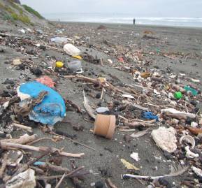 Foto: Playa Ritoque, Chile. © Martin Thiel Foto: Playa Ritoque, Chile. © Martin Thiel