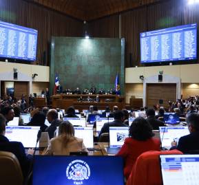 Cámara de Diputadas y Diputados.