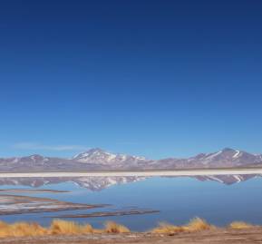 Salar de Maricunga. Foto: Barinia Montoya Salar de Maricunga. Foto: Barinia Montoya