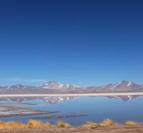 Salar de Maricunga. Foto: Barinia Montoya