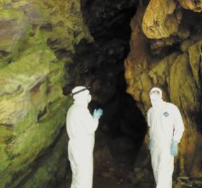 Científicos de EcoHealth Alliance buscan patógenos en una cueva de murciélagos de Yunnan, China. Científicos de EcoHealth Alliance buscan patógenos en una cueva de murciélagos de Yunnan, China.