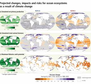 Imagen de IPCC de la ONU con simulaciones de producción primaria, biomasa animal total y potencial de captura pesquera Imagen de IPCC de la ONU con simulaciones de producción primaria, biomasa animal total y potencial de captura pesquera