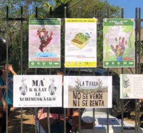 Carteles que muestran el rechazo al llamado Tren Maya. Foto: Neify Pat/Múuch’ Xíinbal