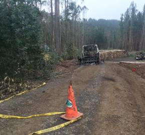 Faena de Forestal Mininco a pocos metros del enfrentamiento. Registro Paula Huenchumil y Francisco Velásquez Faena de Forestal Mininco a pocos metros del enfrentamiento.