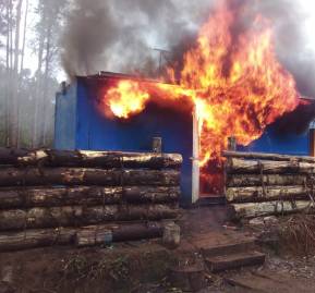 Fundo de Forestal Mininco en Carahue