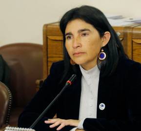 Diputada Yovana Ahumada. 