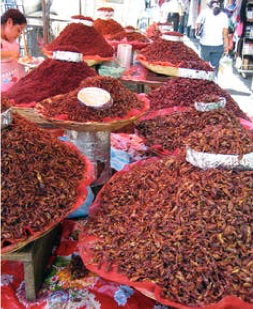 Chapulines. Jeffrey H. Cohen