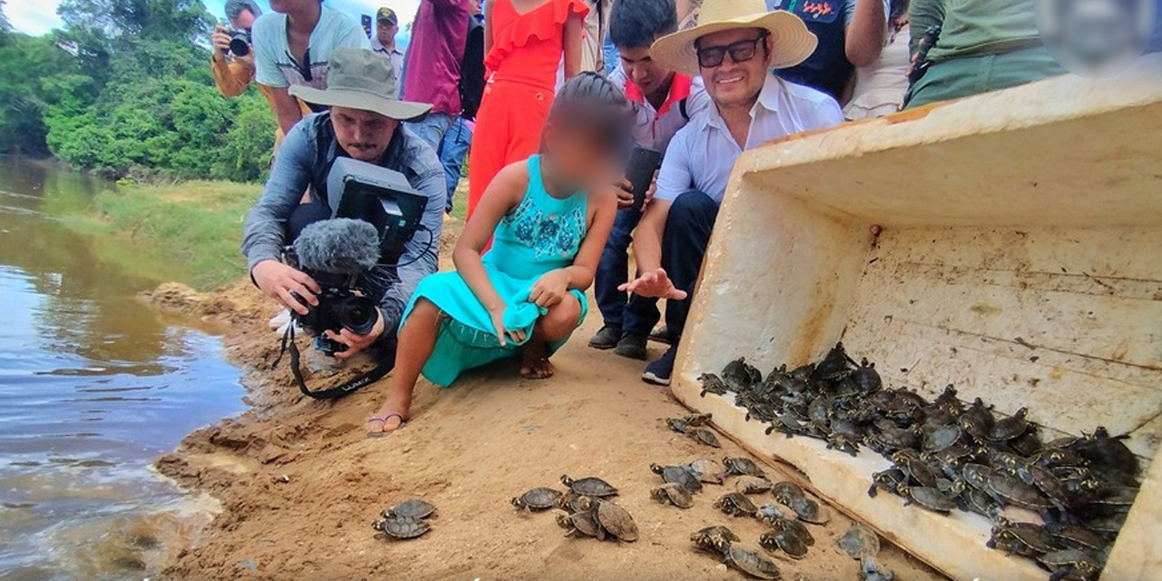 En Pando hay planes para repoblar los ríos amazónicos con crías de tortugas de río. Foto: cortesía Universidad Amazónica de Pando. En Pando hay planes para repoblar los ríos amazónicos con crías de tortugas de río. Foto: cortesía Universidad Amazónica de Pando.