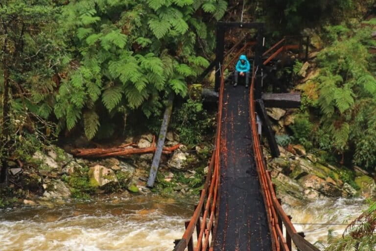 Turista descansa en pasarela del Sendero Alerce Milenario. Foto: Chile.travel / @fotofanhm.
