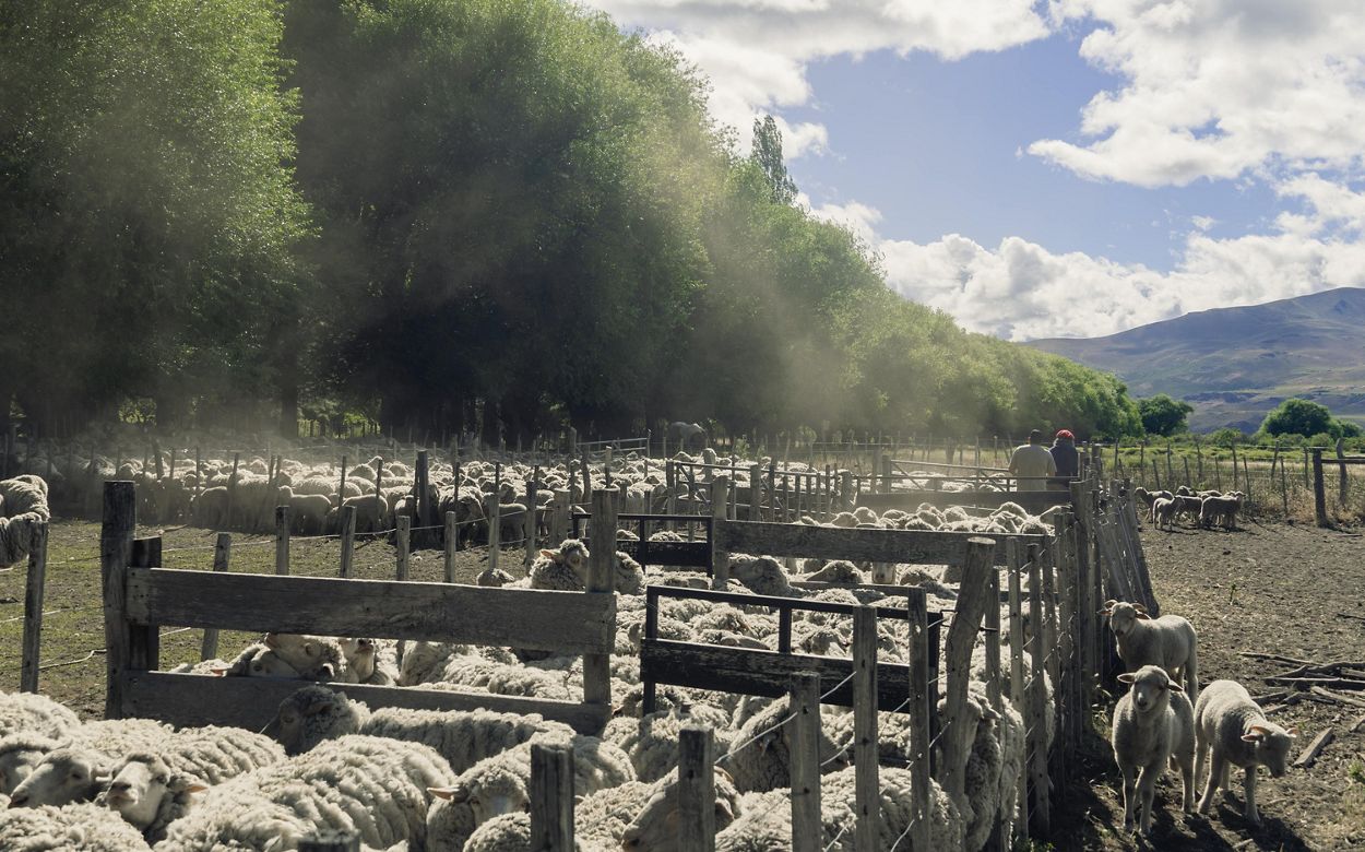 Una iniciativa de TNC en la Patagonia argentina busca una mejor salud para los suelos. Foto: Valentin Argumedo. Una iniciativa de TNC en la Patagonia argentina.