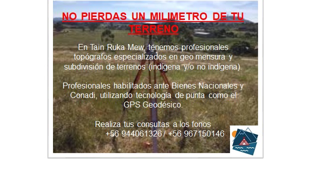Afiche en la cuenta de facebook Taiñ Ruka Mew
