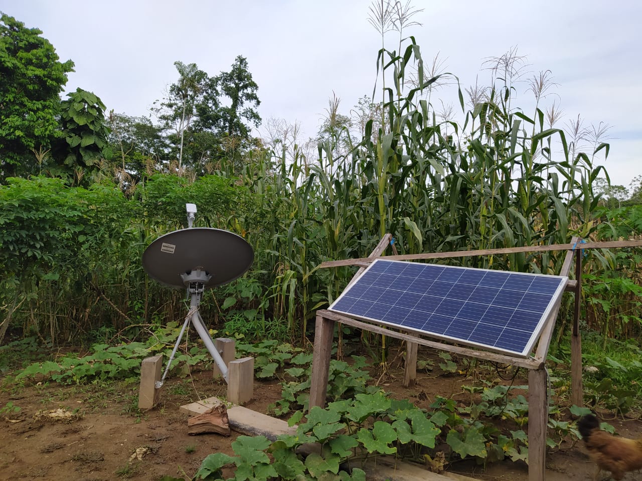 El prototipo de sistema de paneles solares e internet satelital que sirvió como base para un proyecto que llevará energía eléctrica e internet a la comunidad de Alto Mishagua, Perú. Foto: Roxana Borda El prototipo de sistema de paneles solares e internet satelital que sirvió como base para un proyecto que llevará energía eléctrica e internet a la comunidad de Alto Mishagua, Perú. Foto: Roxana Borda