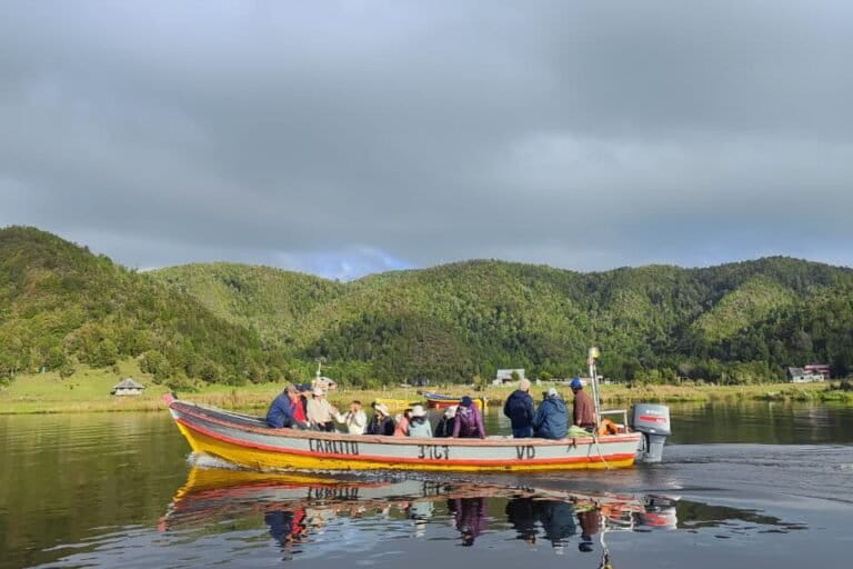 Río Huellelhue, región de Los Lagos, sur de Chile. Foto: cortesía Proyecto GEF Incentivos para la conservación Río Huellelhue, región de Los Lagos, sur de Chile. Foto: cortesía Proyecto GEF Incentivos para la conservación