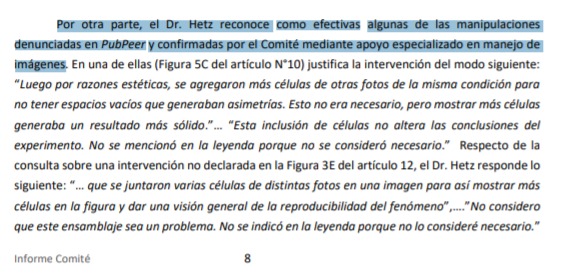 Extracto de informe del comité, donde Hetz reconoce manipulación de figuras