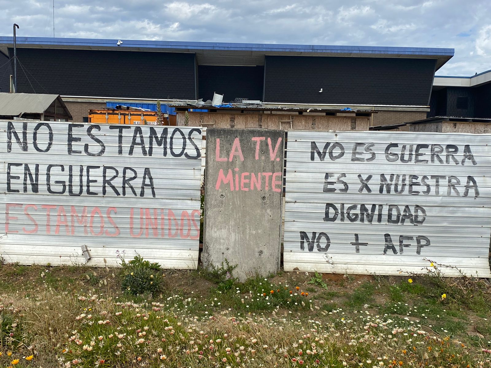 Muros en el pueblo de Tirúa - Crédito: Maximiliano Alarcón. Muros en el pueblo de Tirúa - Crédito: Maximiliano Alarcón.
