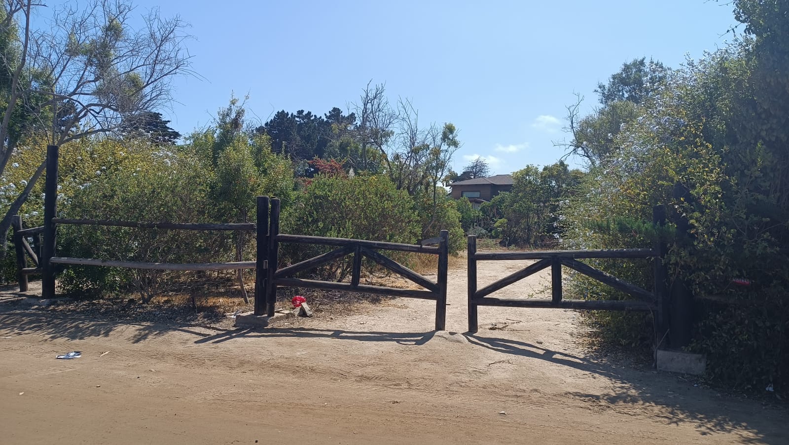 Terreno en calle Los Maitenes, Cachagua.