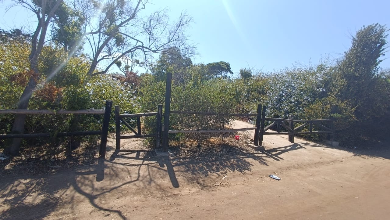 Terreno en calle Los Maitenes, Cachagua.