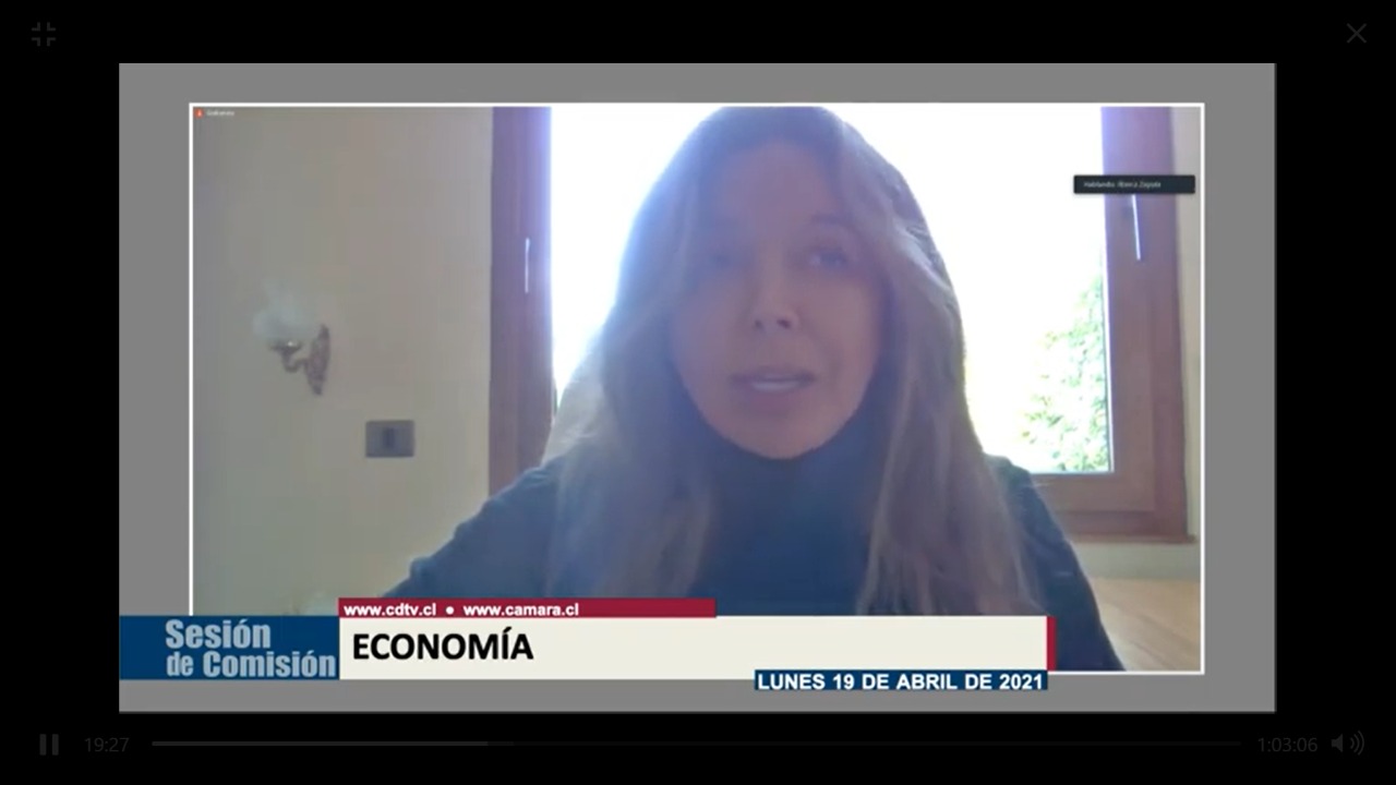 Zapata exponiendo ante la comisión de Economía Zapata exponiendo ante la comisión de Economía